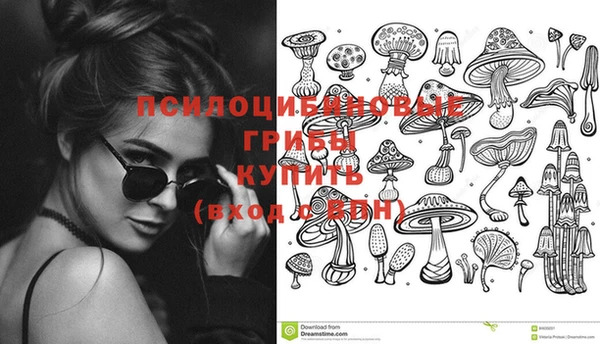марки lsd Алексеевка