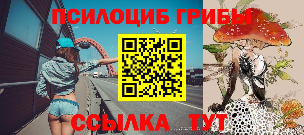 Псилоцибиновые грибы Magic Shrooms Переславль-Залесский