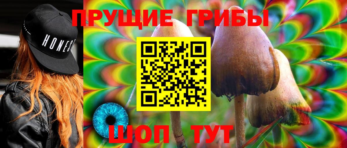 Псилоцибиновые грибы Psilocybine cubensis  Вход с VPN  Псилоцибиновые грибы Magic Shrooms  Переславль-Залесский 